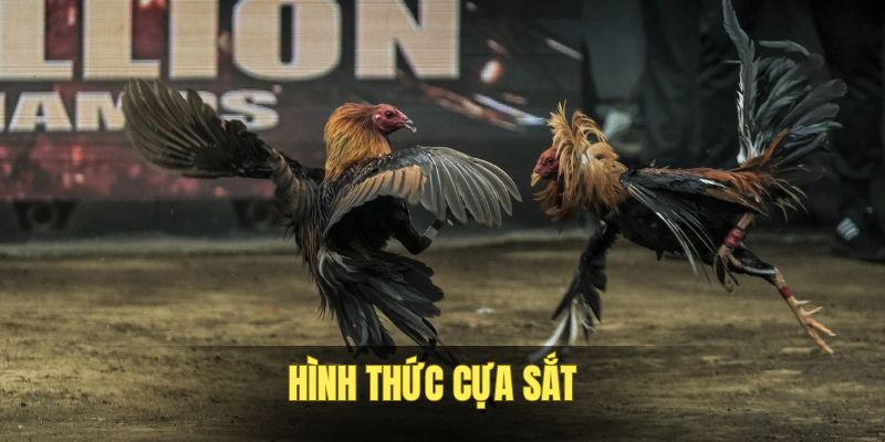ca-cuoc-cua-sat-don-gian-va-nhan-thuong-khung