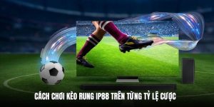 cach-choi-keo-rung-ip88-tren-ty-le-cuoc-hap-dan