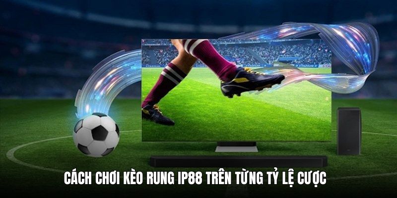 cach-choi-keo-rung-ip88-tren-ty-le-cuoc-hap-dan