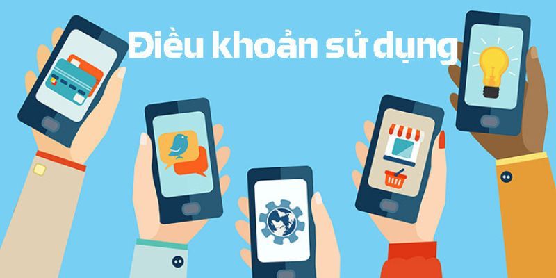 ly-do-nen-doc-ky-dieu-khoan-su-dung-truoc-khi-tham-gia