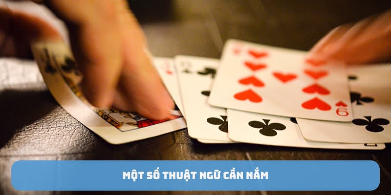 mot-so-thuat-ngu-can-nam-khi-tham-gia