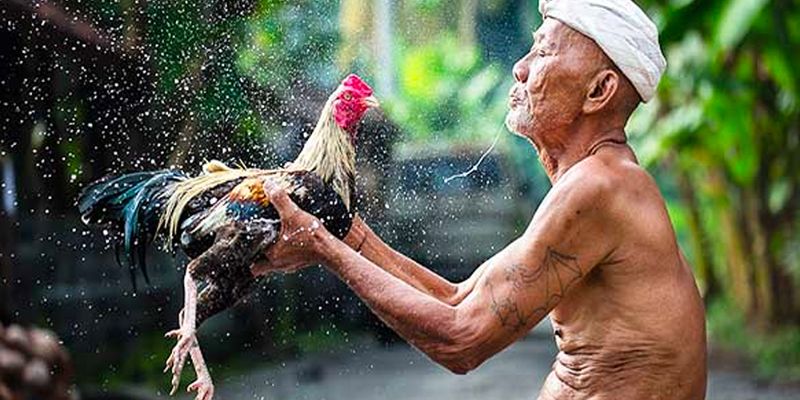 nhung-diem-quan-trong-ban-can-nam-ro-ve-bo-mon-da-ga-don-c1