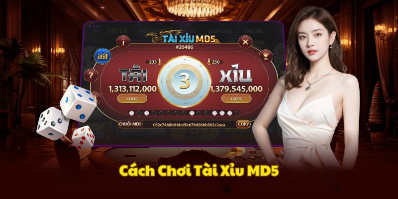 quy-tac-tham-gia-tai-xiu-md5-nhanh-chong
