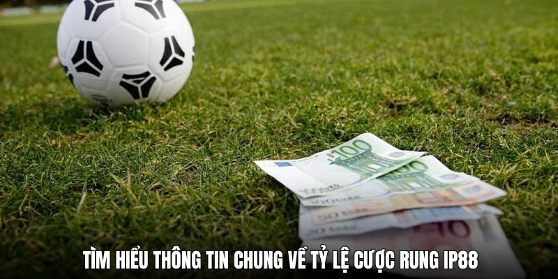 tim-hieu-thong-tin-chung-ve-keo-rung-ip88