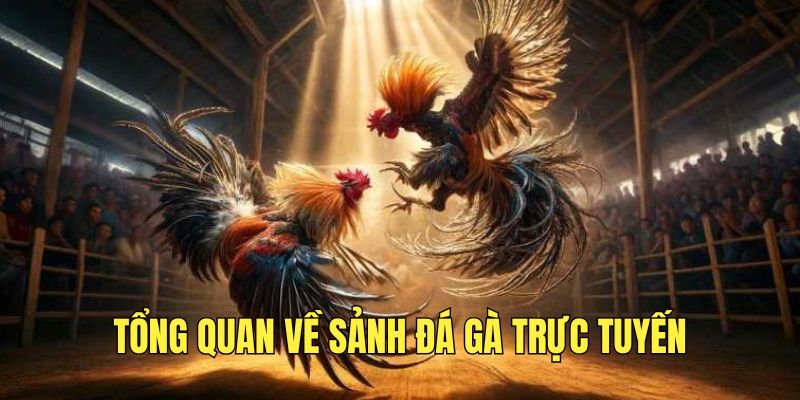 Trải nghiệm đá gà trực tuyến siêu hấp dẫn tại IP88