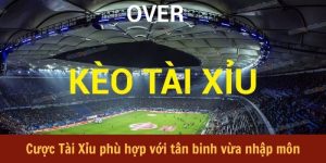 cuoc-tai-xiu-phu-hop-voi-tan-binh