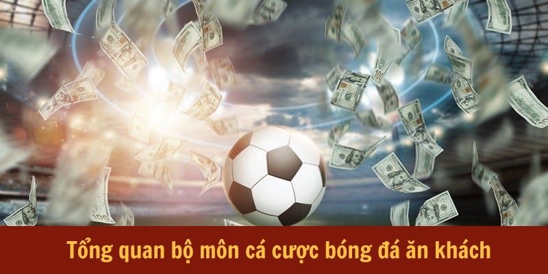 tong-quan-ve-bo-mon-ca-cuoc-bong-da