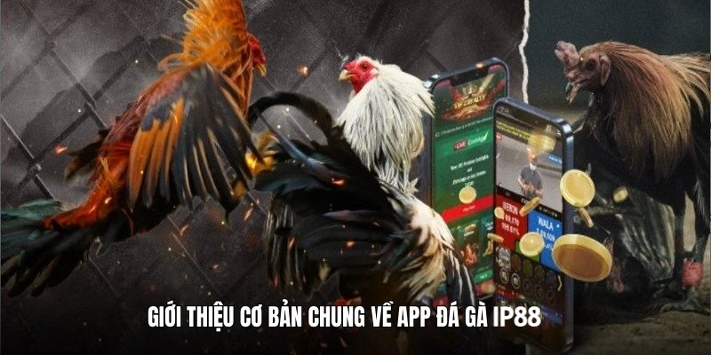 gioi-thieu-app-da-ga-online-ip88