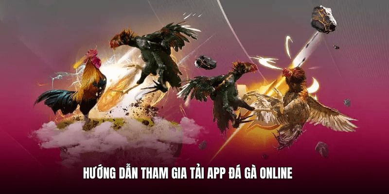 app-da-ga-online-huong-dan